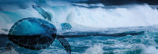 Leatherback Sea Turtle