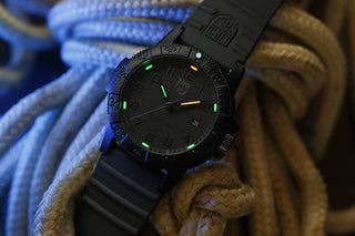Leatherback Sea Turtle Giant 0320, 44MM, - XS.0321.BO.L