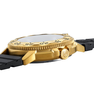 Navy SEAL Foundation, 43 mm, Military Dive Watch - 3221.NSF	,Side view with crown and strap
